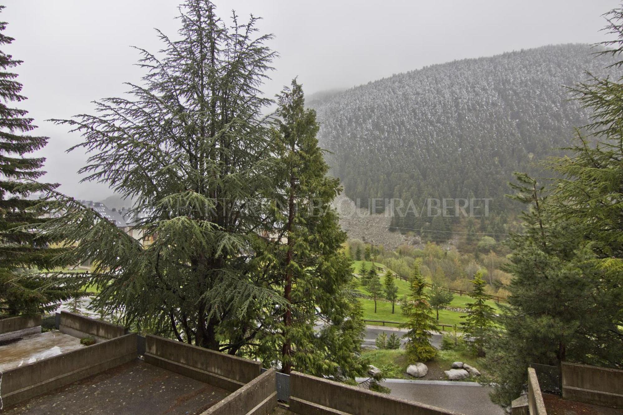 Apartarent 1500 Baqueira Beret Δωμάτιο φωτογραφία
